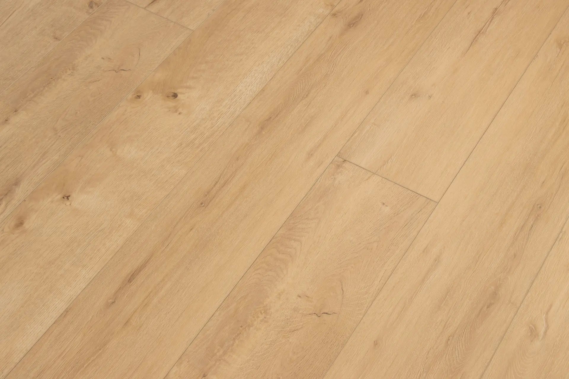 Cali Vinyl Hidden Palm Legends Vinyl Flooring