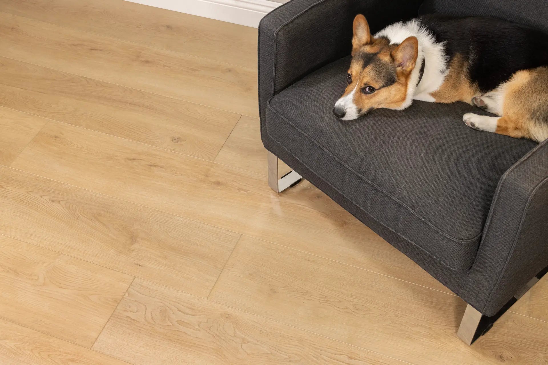 Cali Vinyl South Wind Oak Legends Vinyl Flooring
