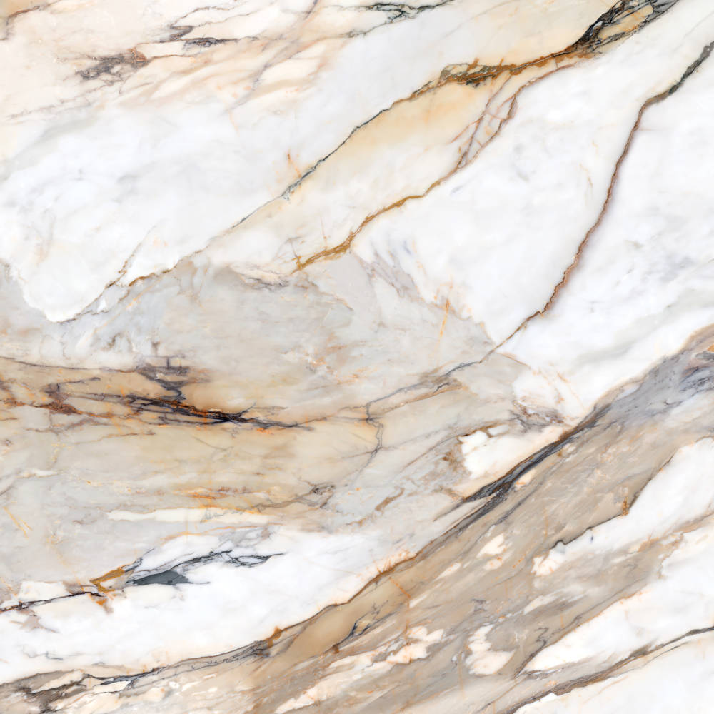 Honed Porcelain Slab in Calacatta Antique
