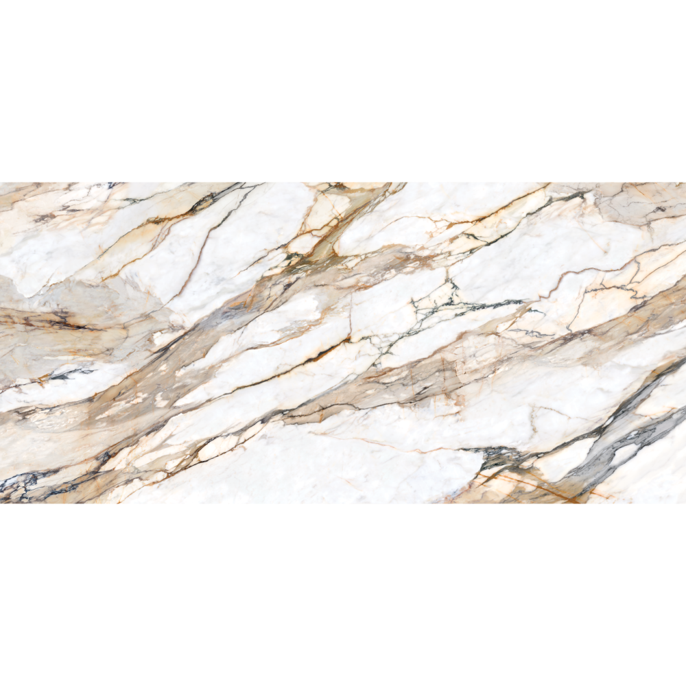 Honed Porcelain Slab in Calacatta Antique