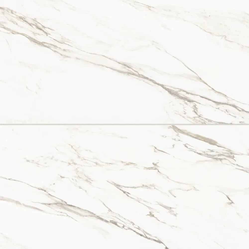 Prati 24" x 48" Honed Porcelain Field Tile in Calacatta Macchia Vecchia