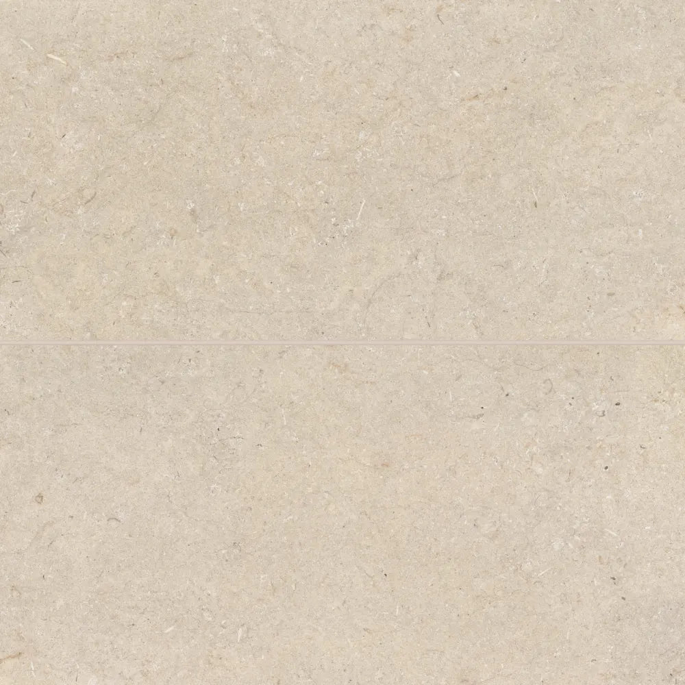 Poetry Stone 24" x 48" Matte Porcelain Field Tile in Grey