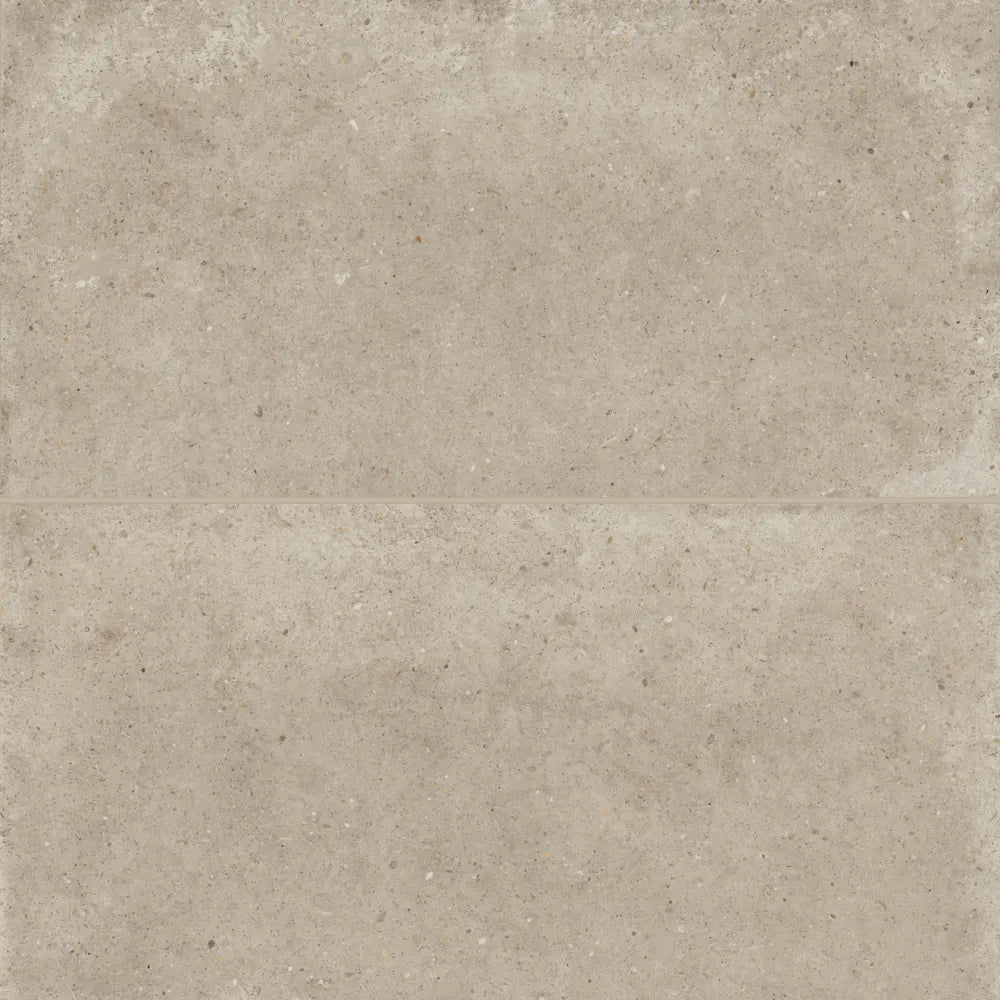 Poetry Stone 24" x 48" Matte Porcelain Field Tile in Grey