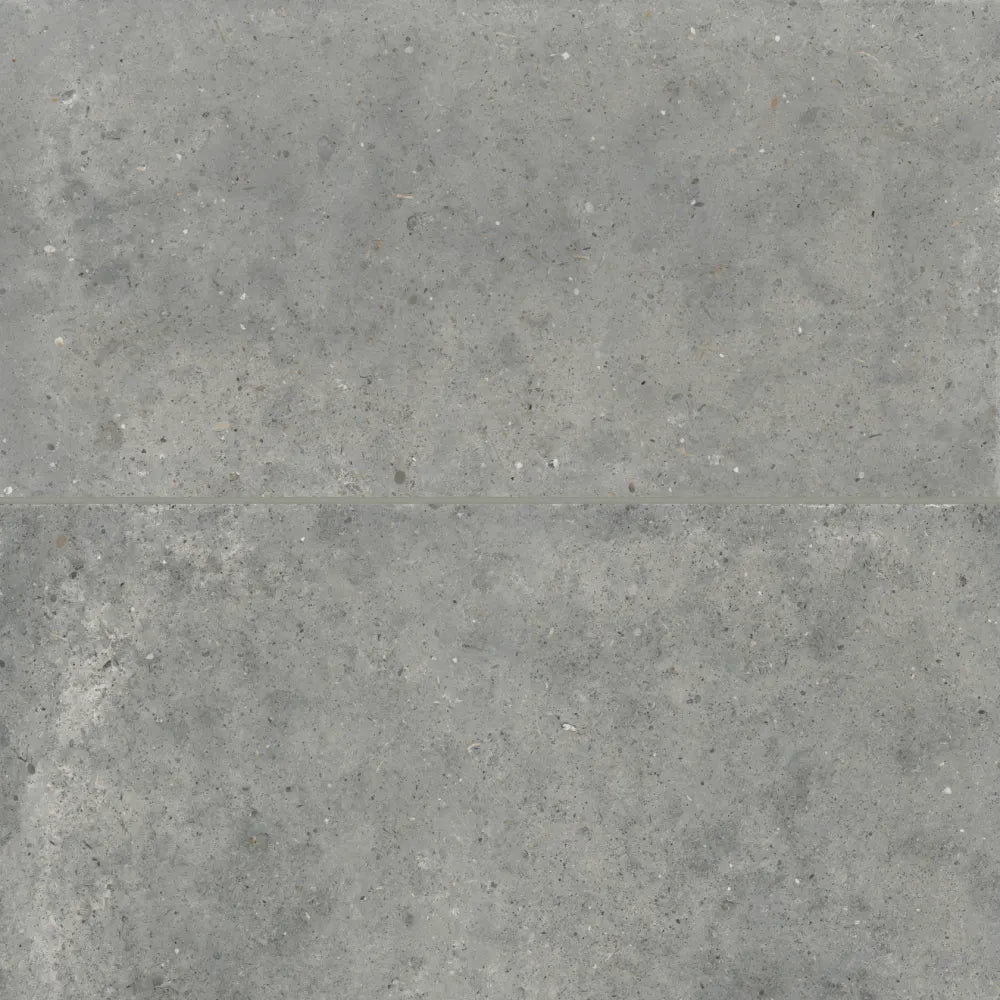 Poetry Stone 24" x 48" Matte Porcelain Field Tile in Grey