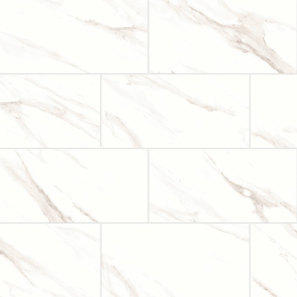 Shandar 12" x 24" Polished Porcelain Field Tile in Arezzo White