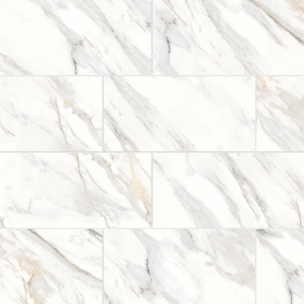 Shandar 12" x 24" Polished Porcelain Field Tile in Arezzo White