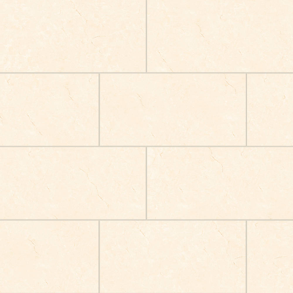 Shandar 12" x 24" Polished Porcelain Field Tile in Arezzo White