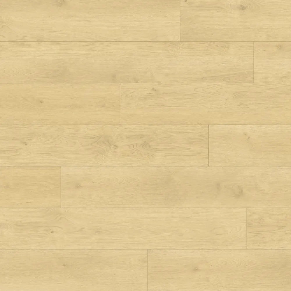 Shorewood Luxury Vinyl 9" x 60" in Driftwood