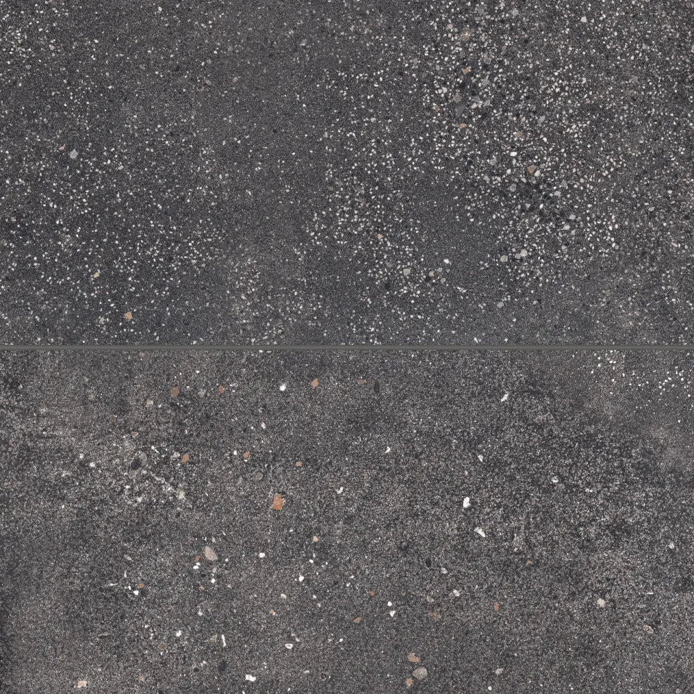 Area 51 24" x 48" Matte Porcelain Paver in Steel