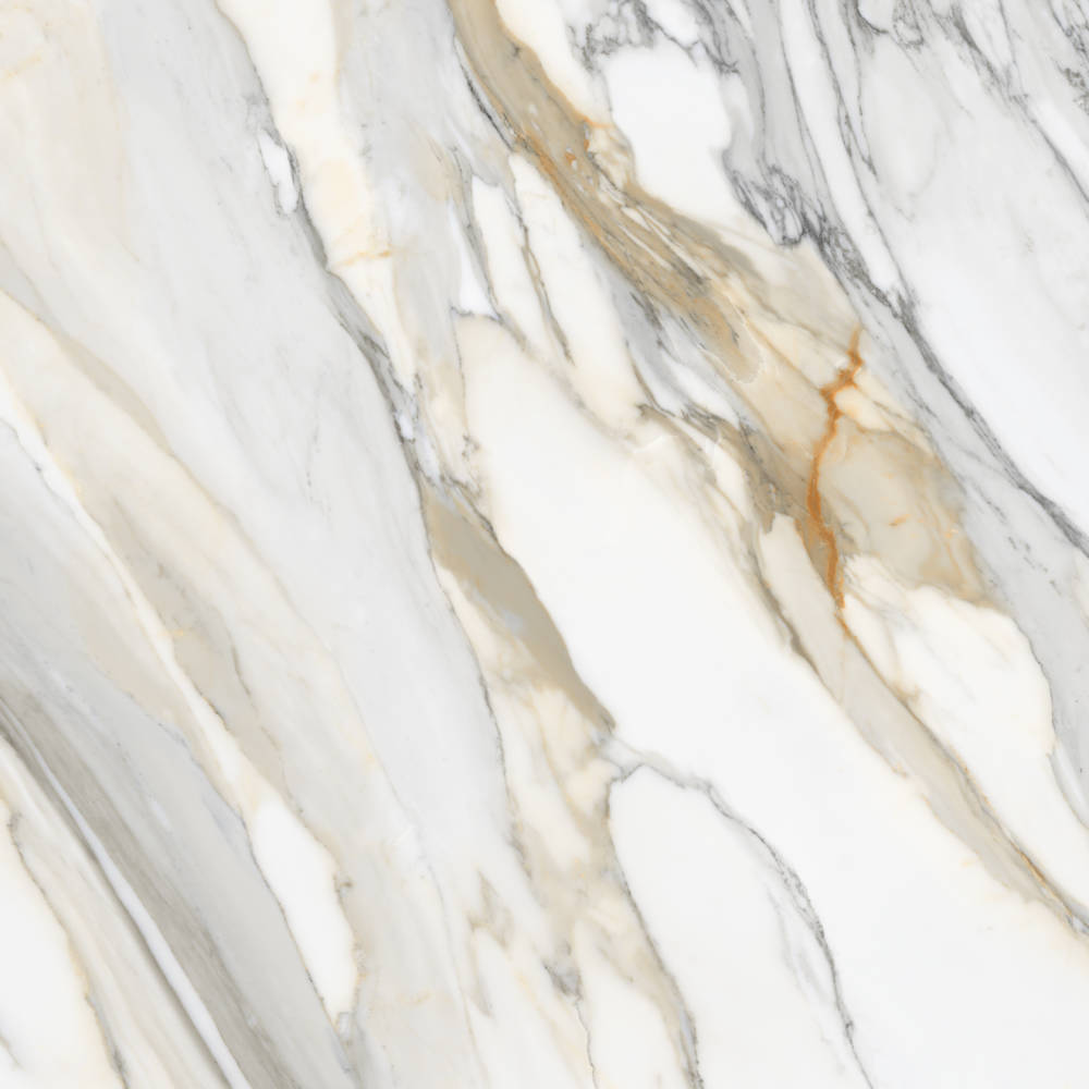 Honed Porcelain Tile in Calacatta Macchia