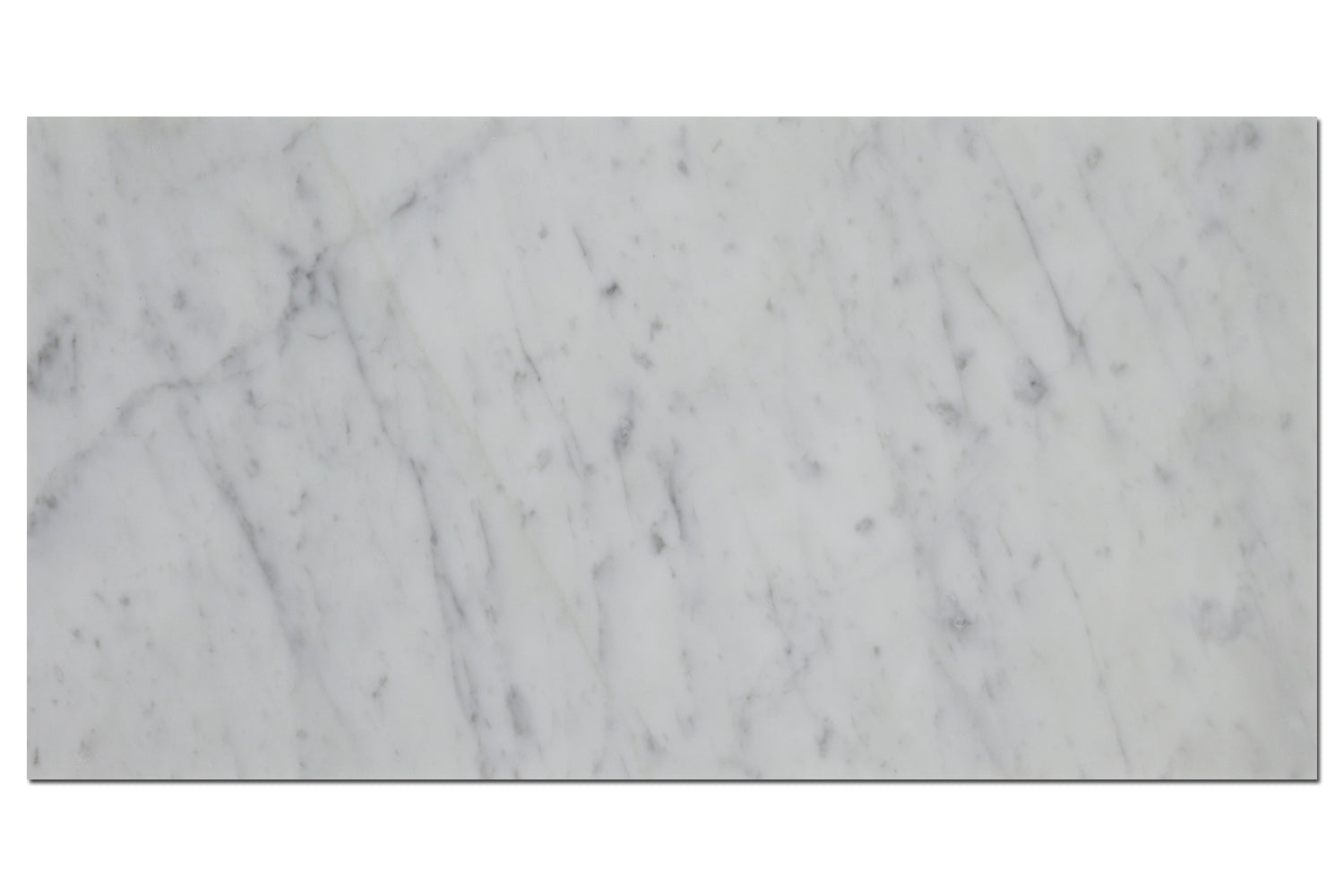 12X24 Carrara Honed