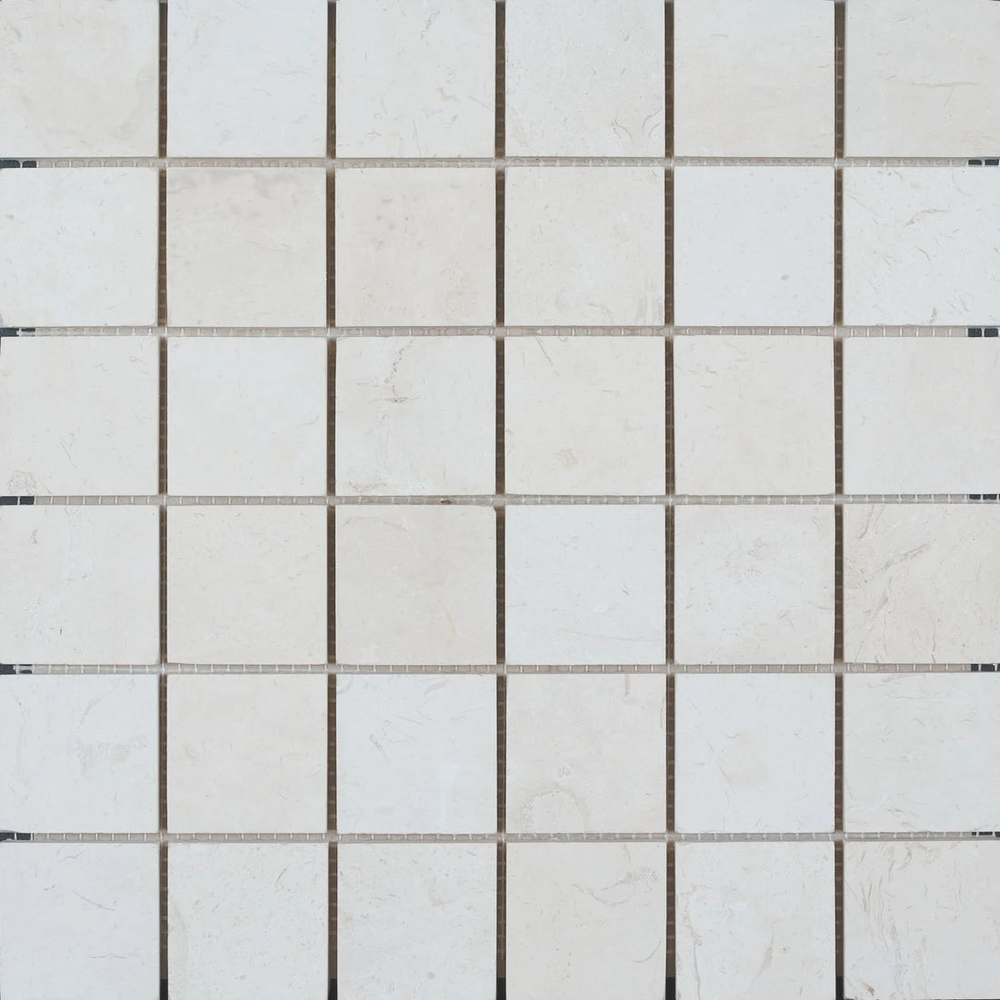 2X2 Corinthian Fossil Honed