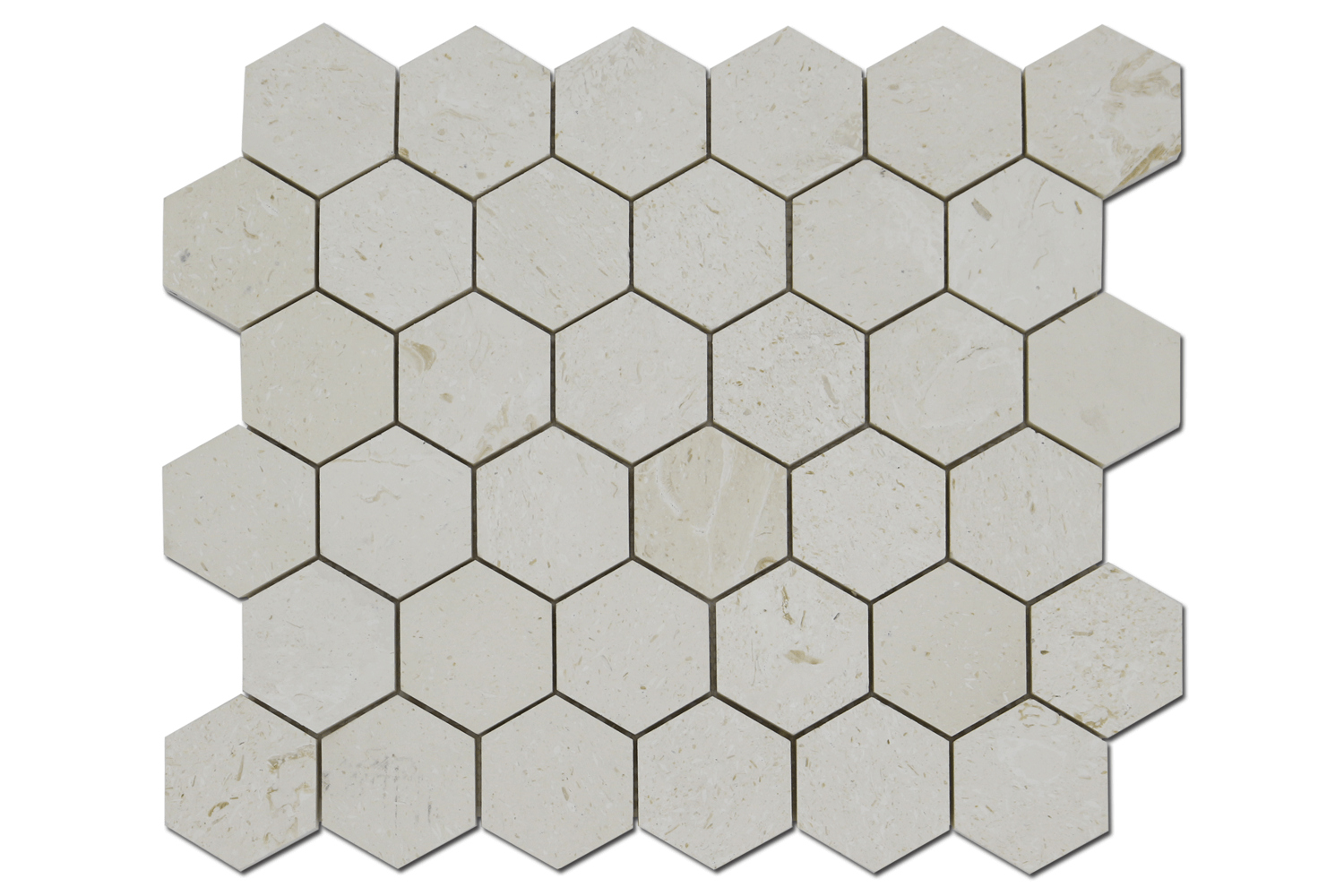 2″ Corinthian Fossil Honeycomb Honed