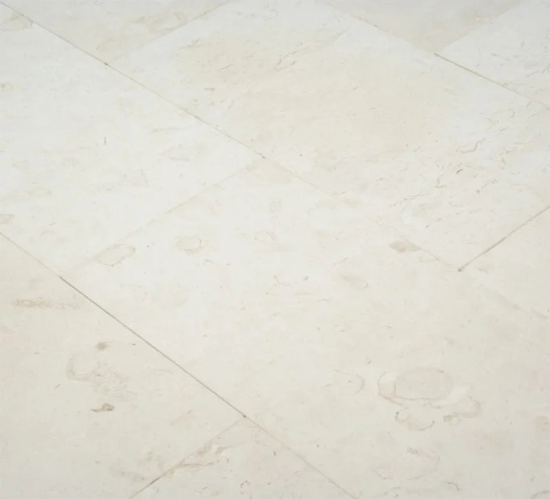 3X12 Corinthian Fossil Honed