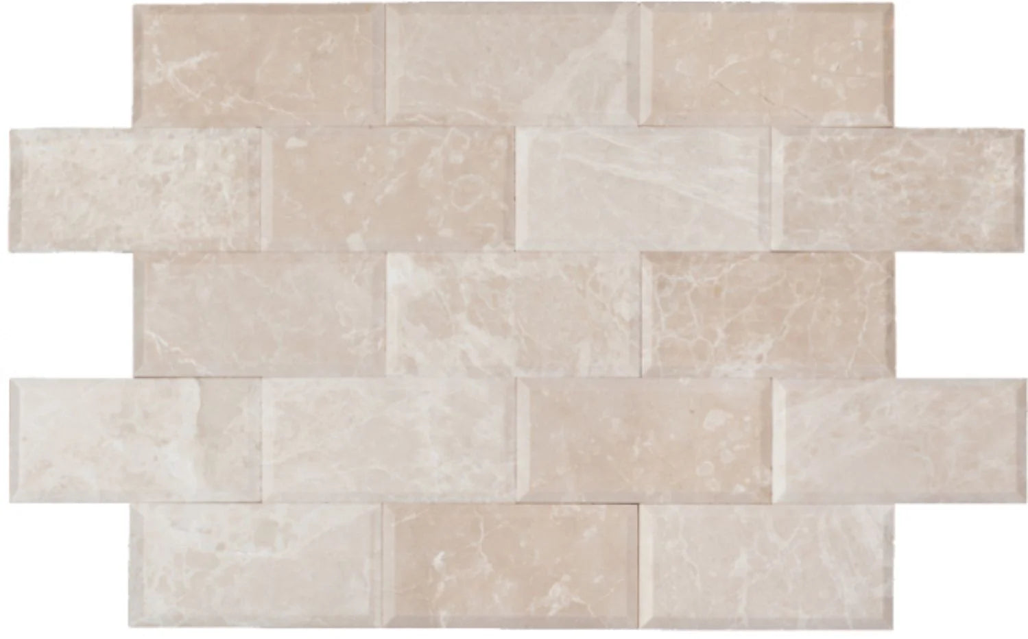 3×6 Corinthian Fossil Honed & Deep Bevel