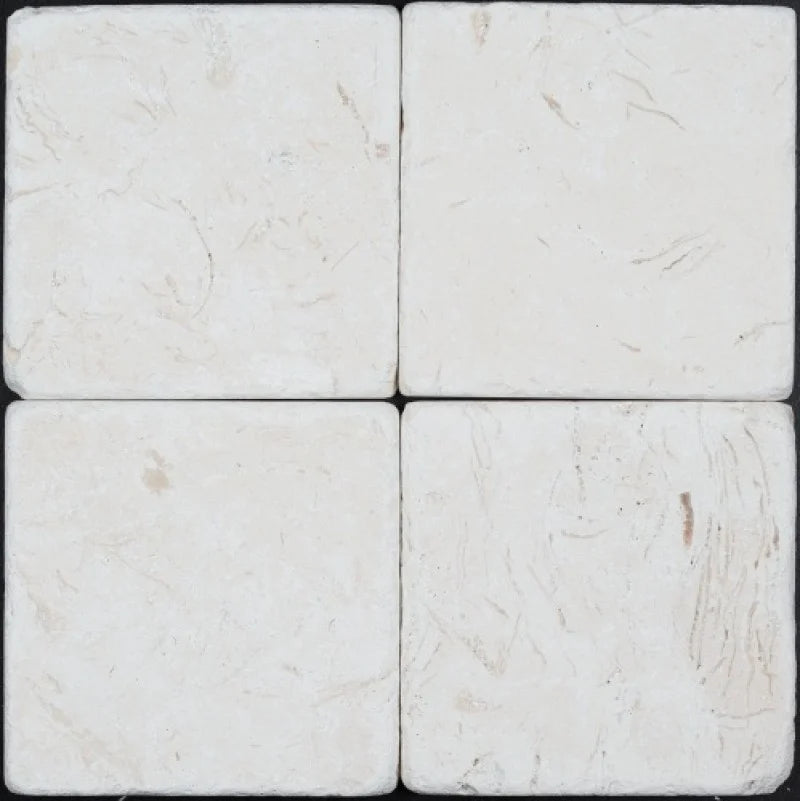 4X4 Corinthian Fossil Tumbled