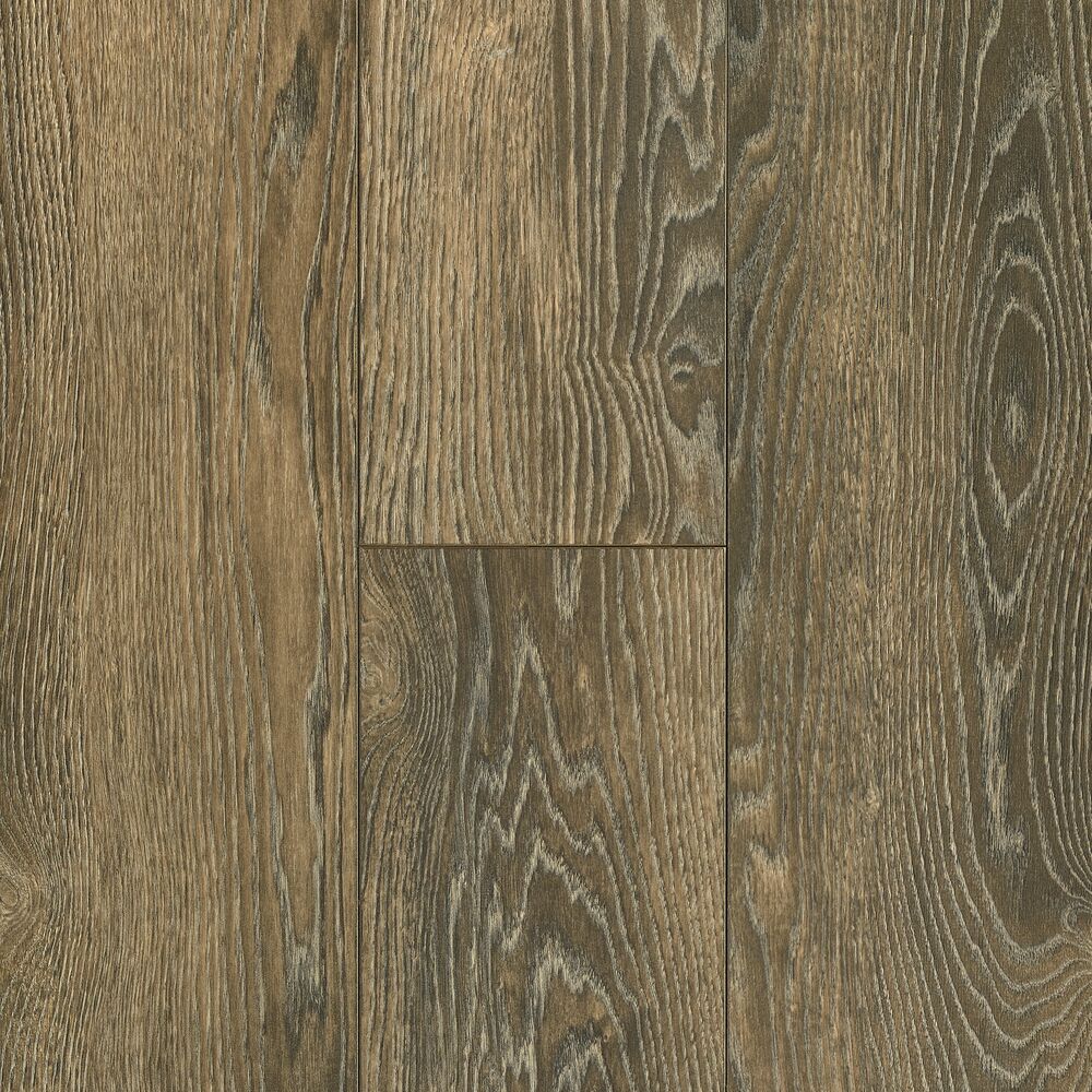 Bruce Backwoods 8 in