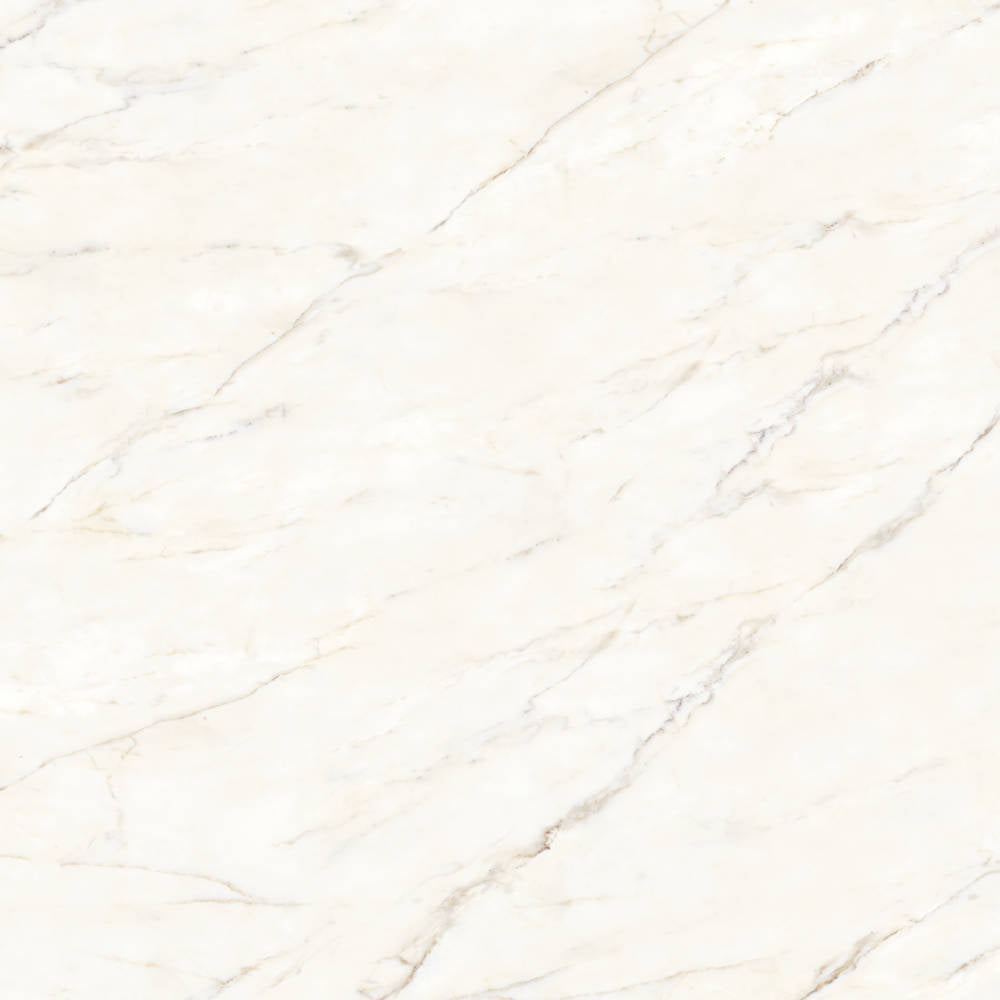 Honed Porcelain Tile in Calacatta Oro