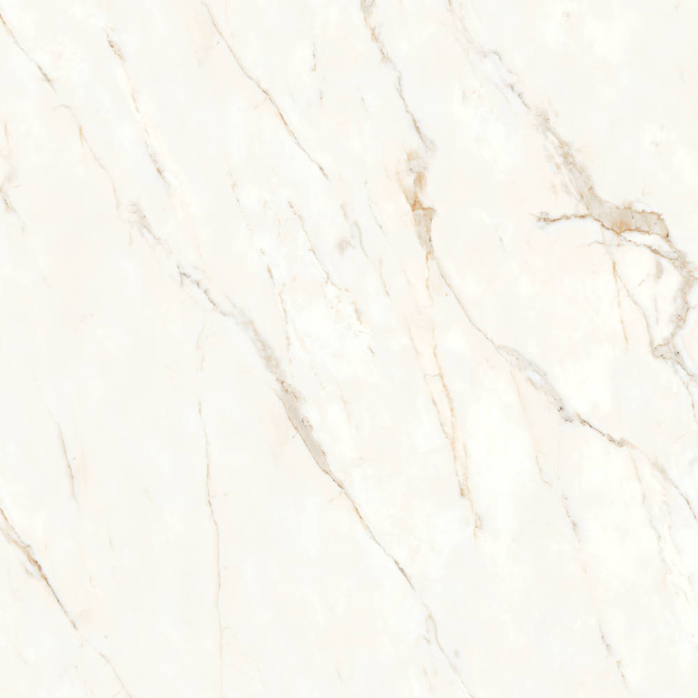 Honed Porcelain Tile in Calacatta Oro