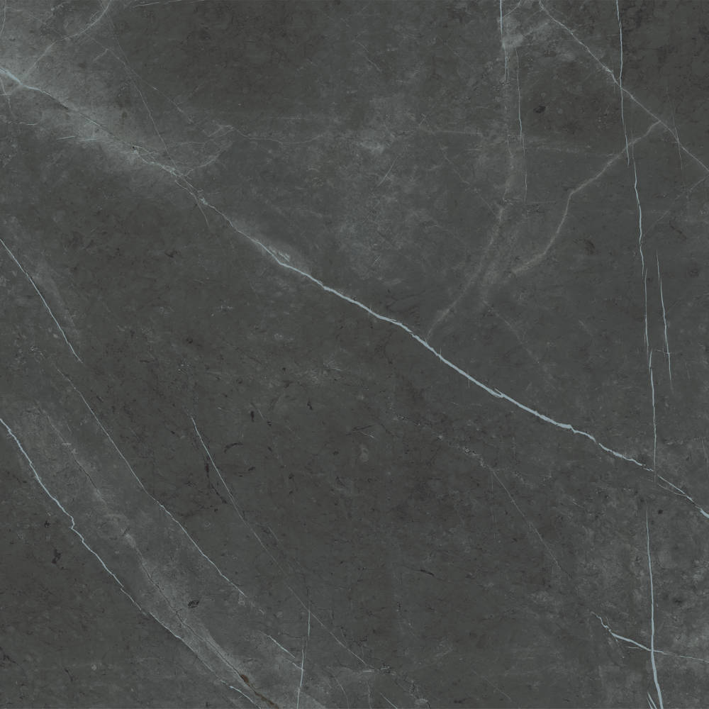 Honed Porcelain Tile in Pietra Grey