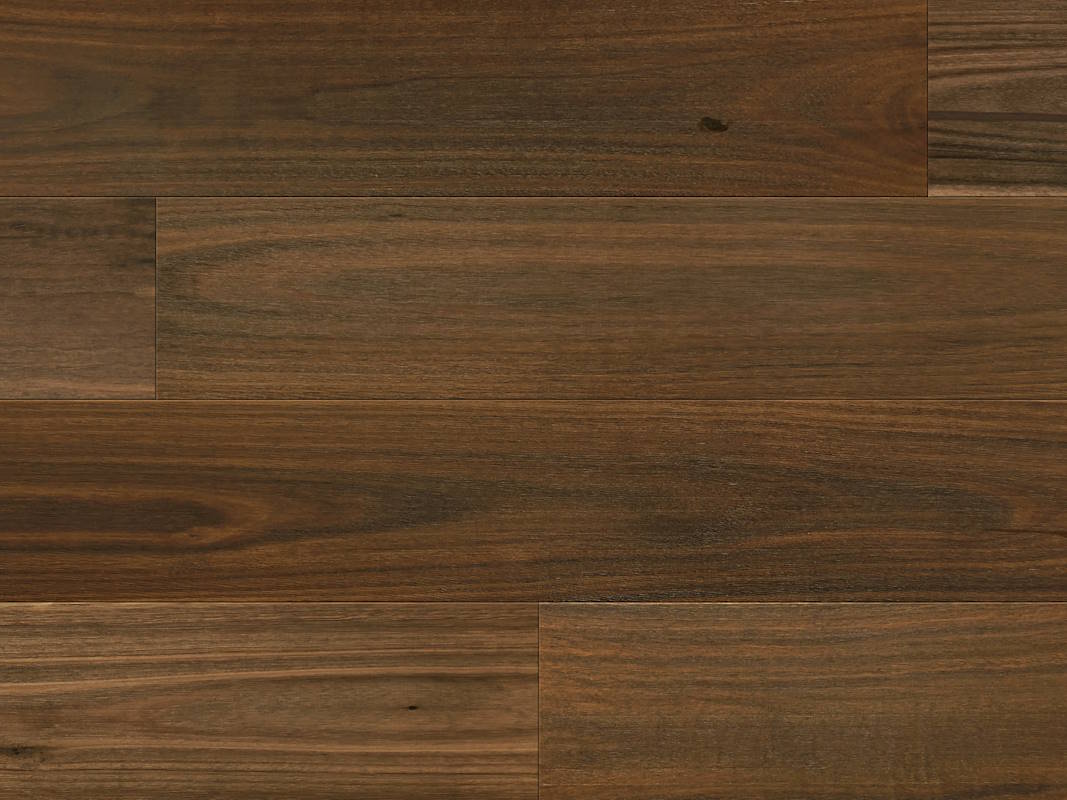 Norwood Hill Majestic