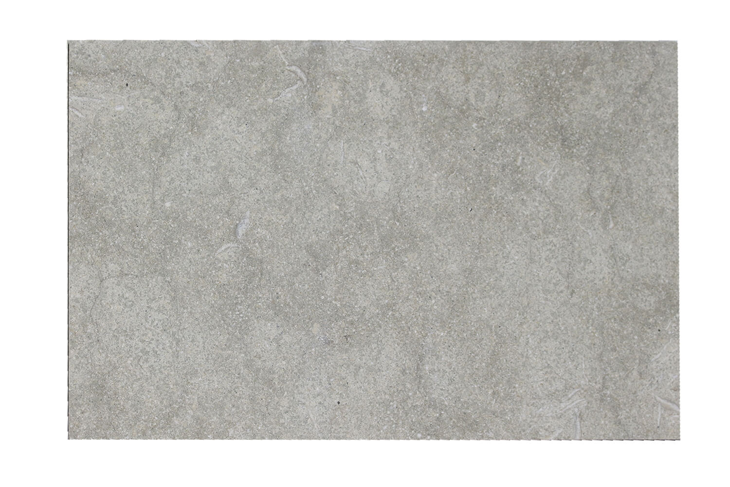 Signature – Seagrass 16×24 Medieval