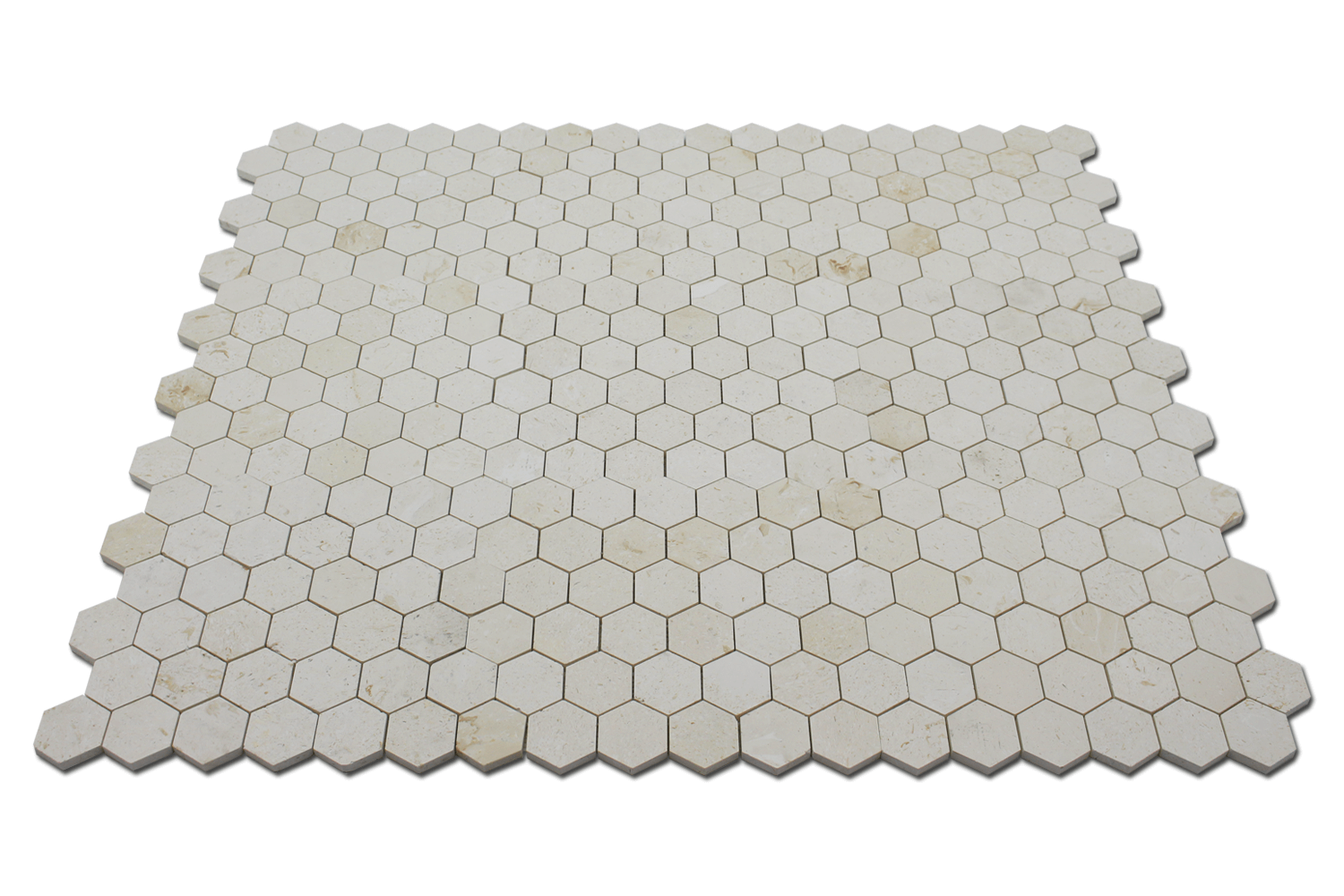 Corinthian Fossil Honeycomb Honed