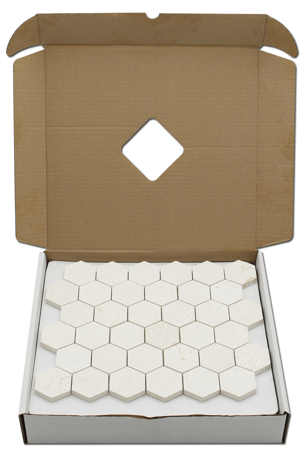 Corinthian Fossil Honeycomb Honed