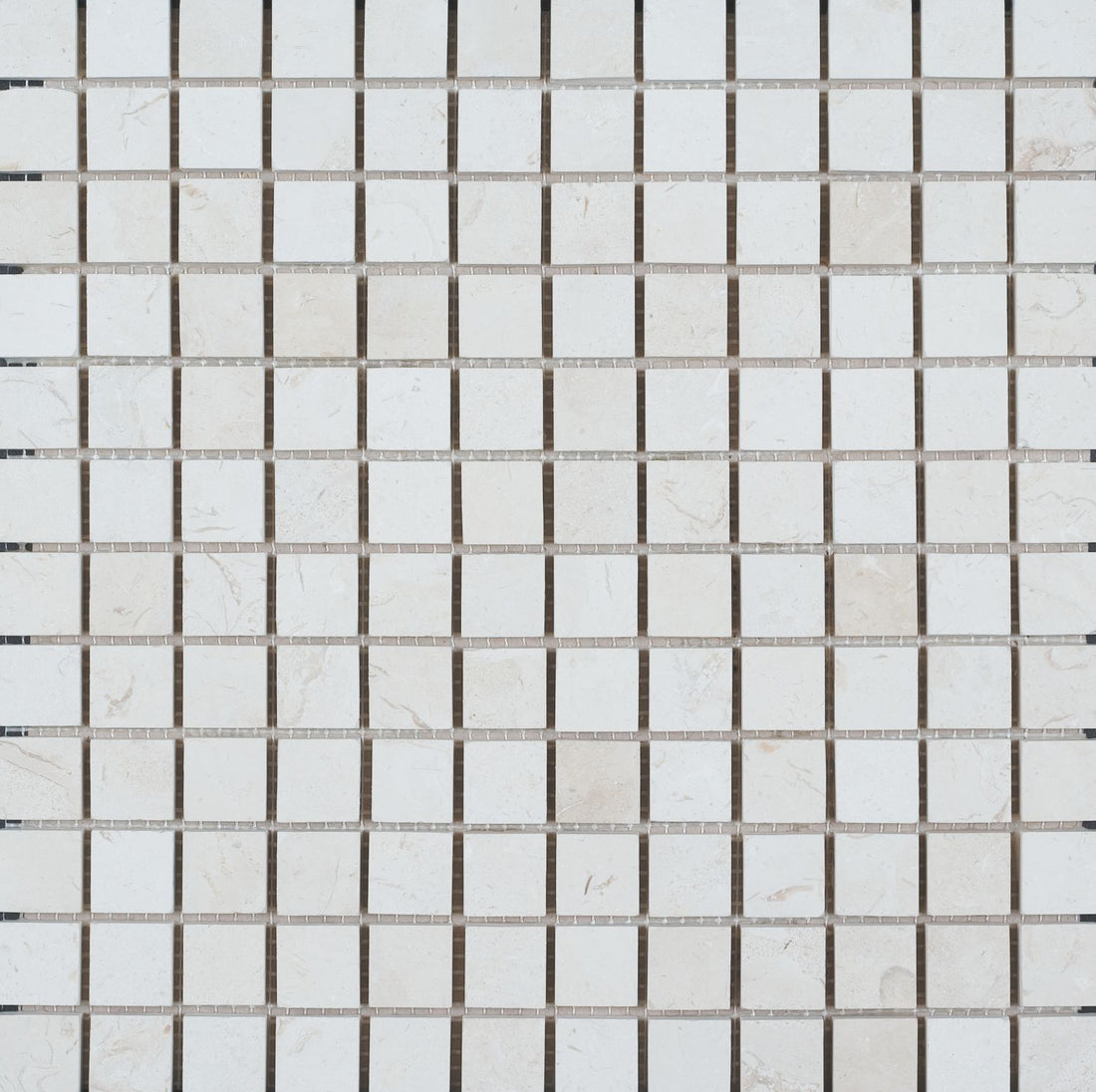 Corinthian Fossil Honed