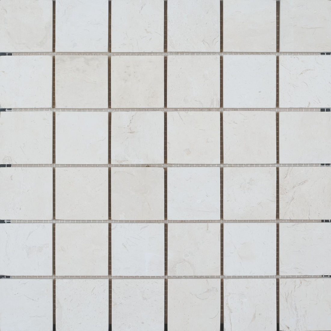 Corinthian Fossil Honed Mosaic