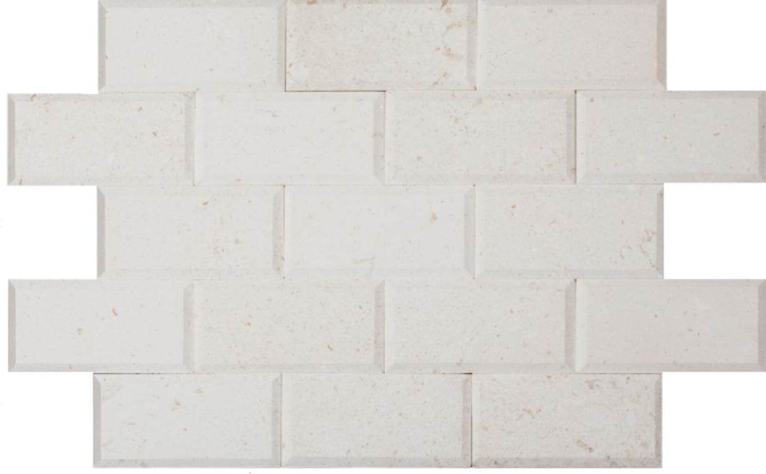 Corinthian Fossil 3×6 Honed & Deep Bevel