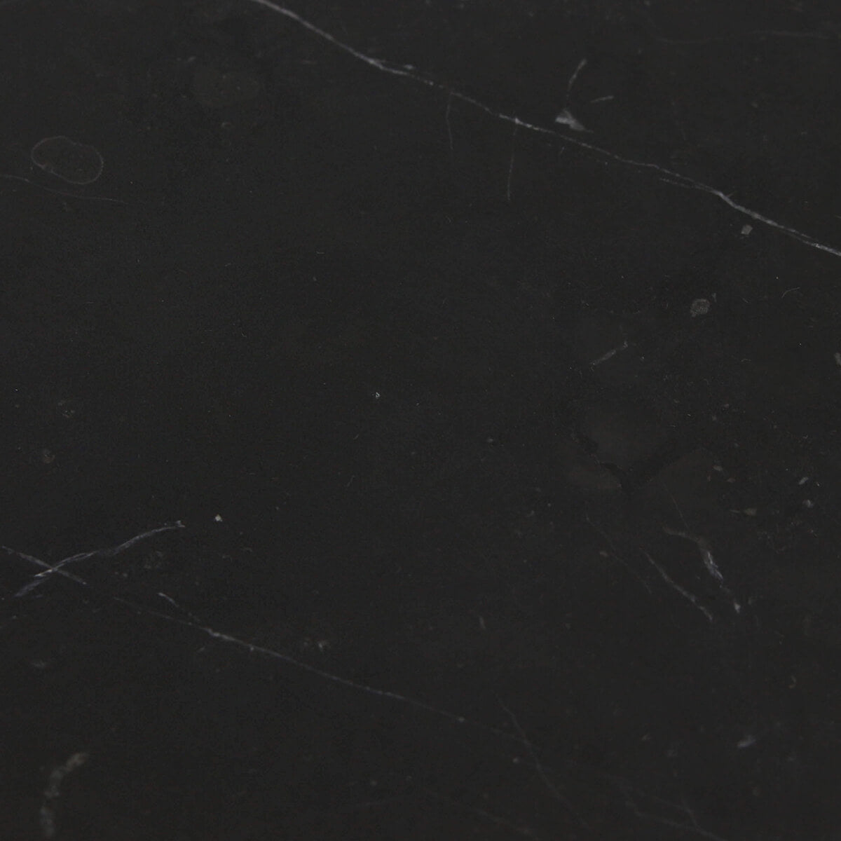 Taurus Black 12x12 Honed