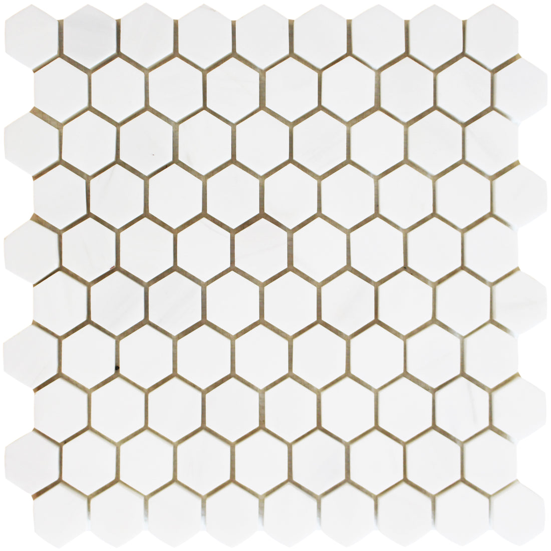 Bianco Venato Dolomite 1 1/4 Honeycomb B Venato Pol