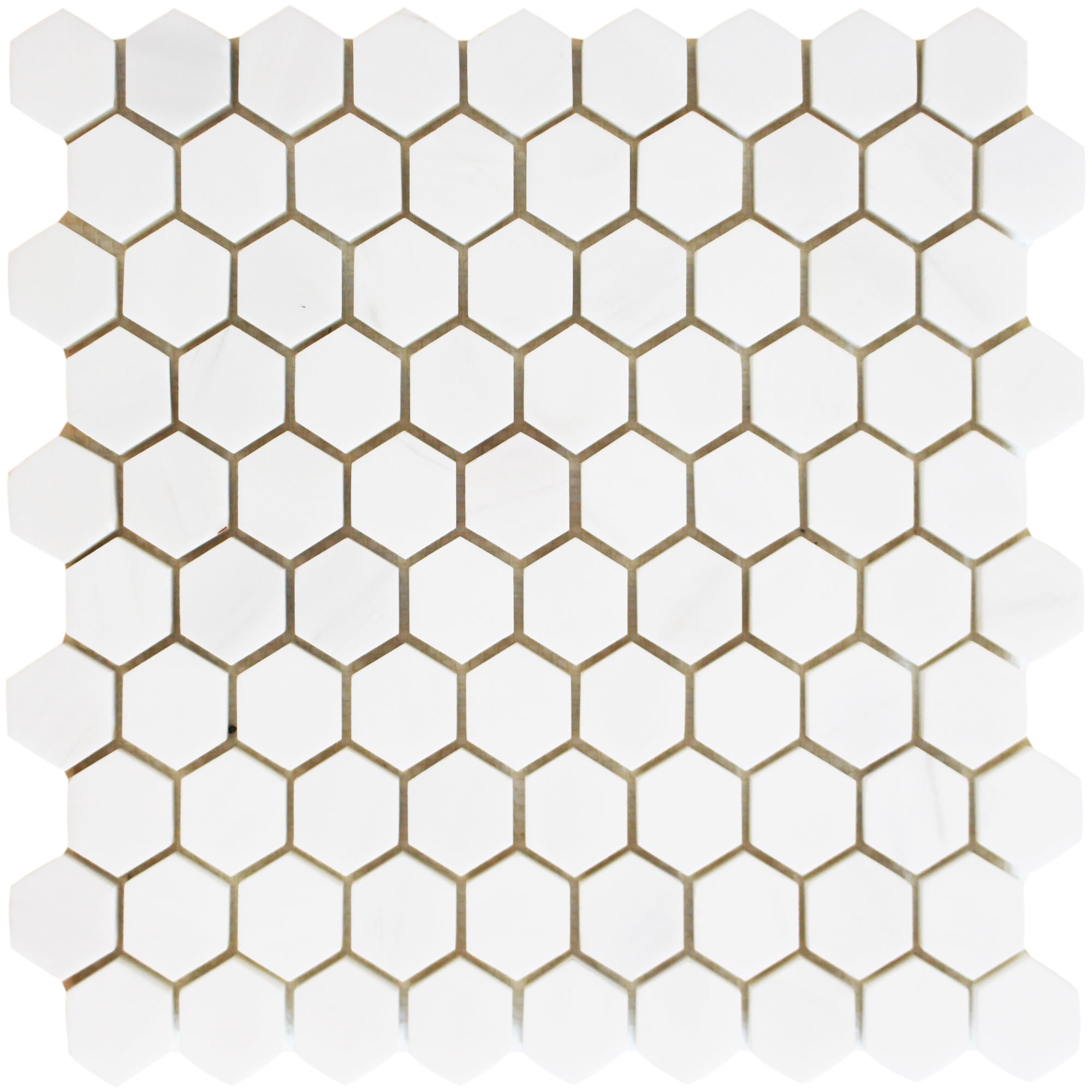 Bianco Venato Dolomite 1 1/4 Honeycomb B Venato Pol