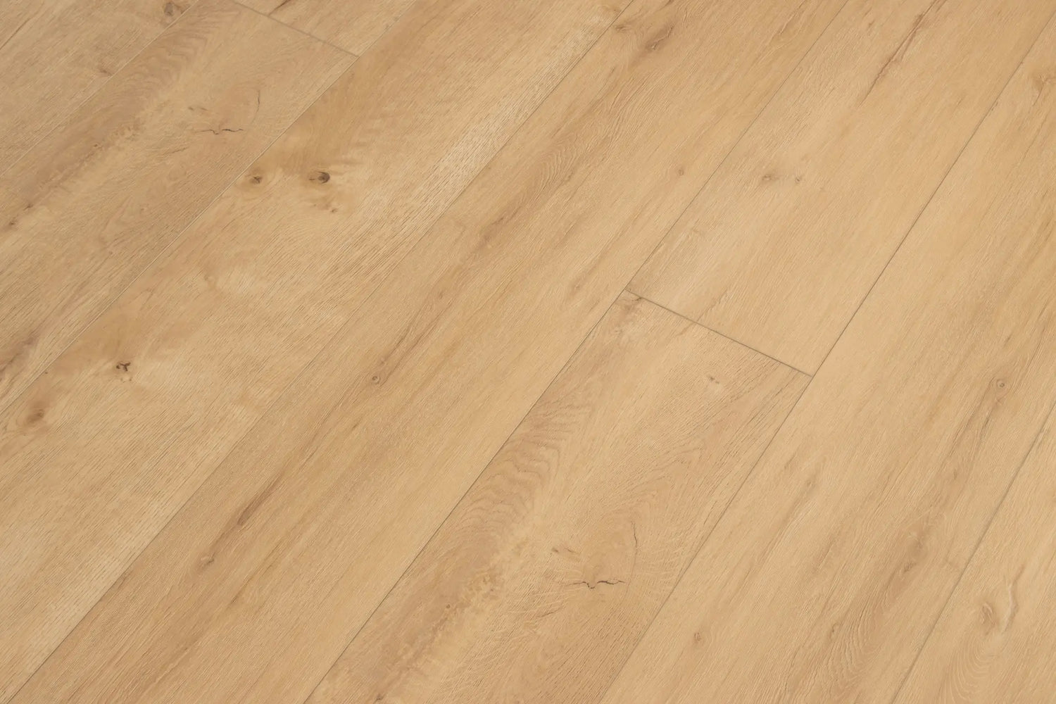 Cali Vinyl Hidden Palm Legends Vinyl Flooring