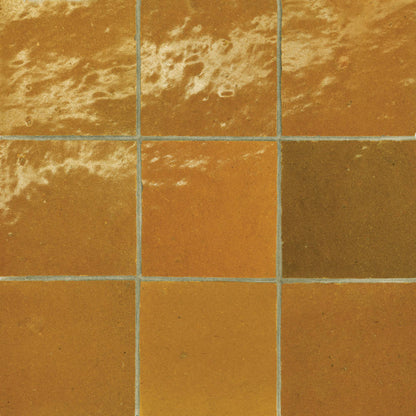 Zagora 4&quot; x 4&quot; Glossy Zellige Field Tile in Green