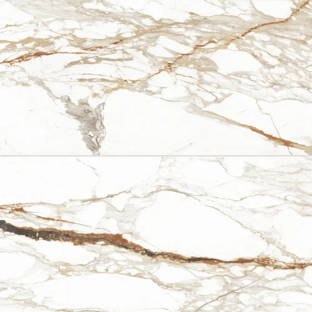 Prati 24" x 48" Honed Porcelain Field Tile in Calacatta Macchia Vecchia