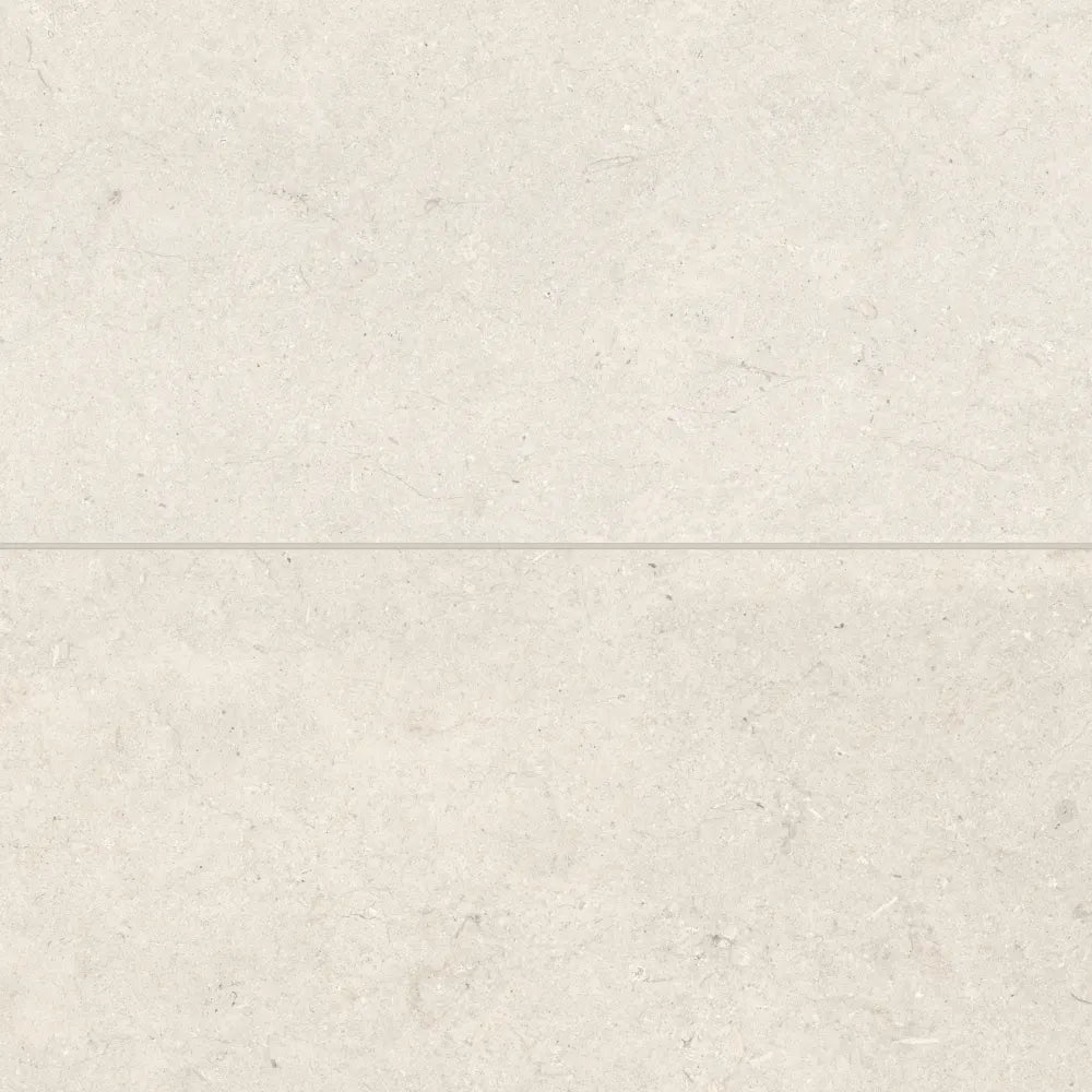 Poetry Stone 24" x 48" Matte Porcelain Field Tile in Grey