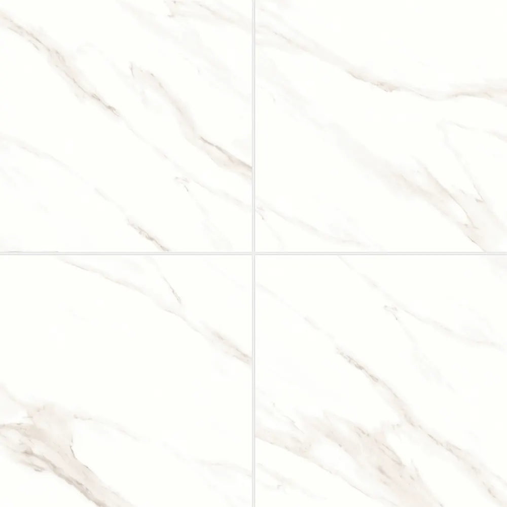 Shandar 24&quot; x 48&quot; Matte Porcelain Field Tile with Mould in Florence Grey