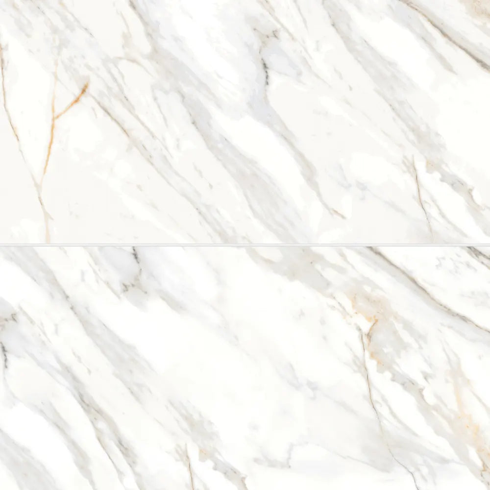 Shandar 24&quot; x 48&quot; Matte Porcelain Field Tile with Mould in Florence Grey