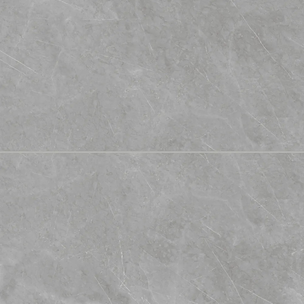 Shandar 24&quot; x 48&quot; Matte Porcelain Field Tile with Mould in Florence Grey