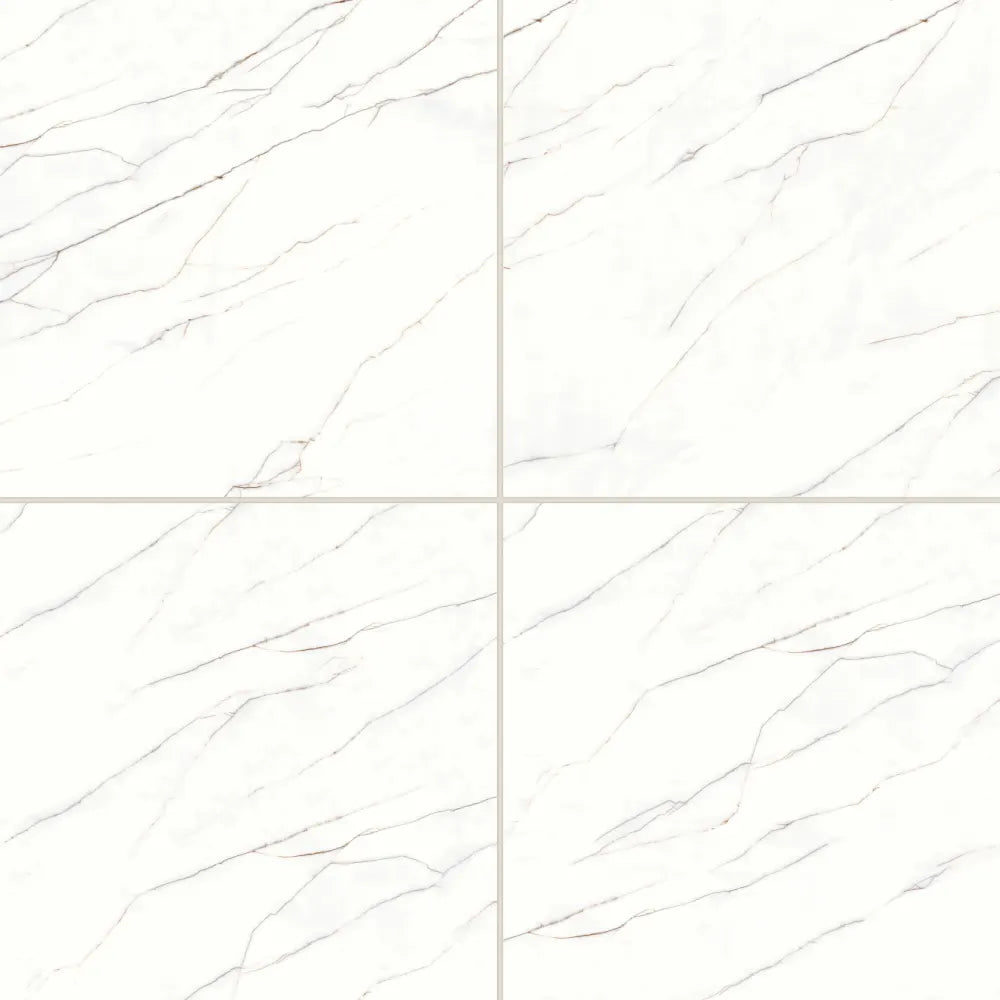 Shandar 24&quot; x 48&quot; Matte Porcelain Field Tile with Mould in Florence Grey