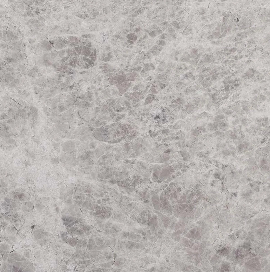12X24 Silver Shadow Polished