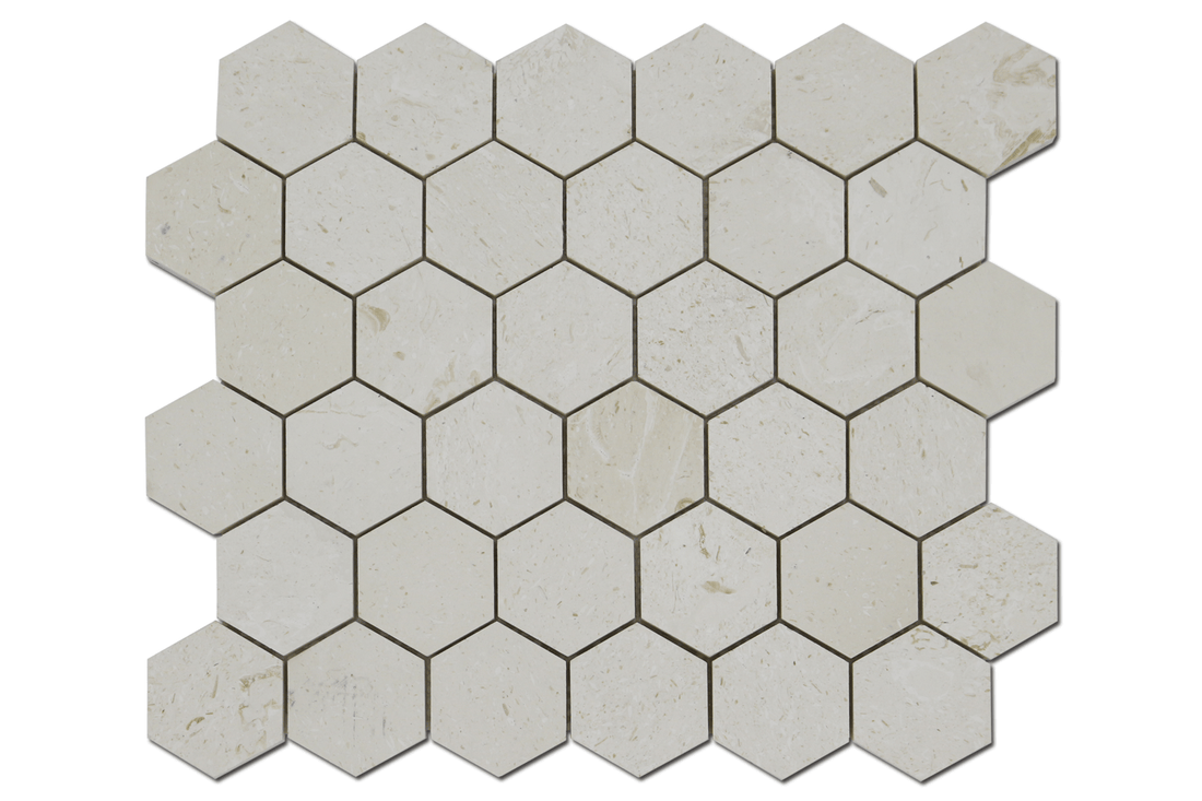 2″ Corinthian Fossil Honeycomb Honed