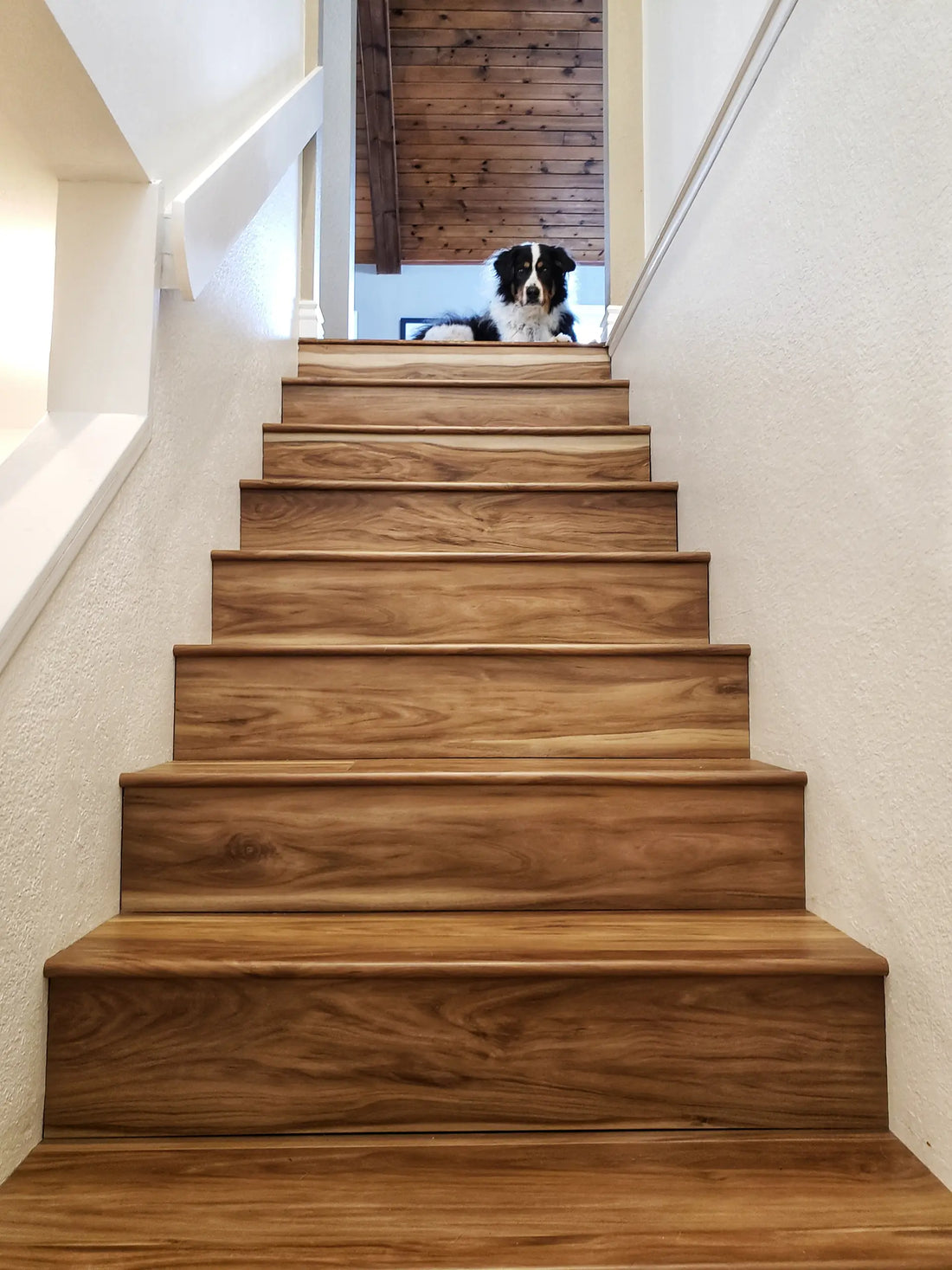 Cali Vinyl Coastal Eucalyptus Windansea Vinyl Flooring