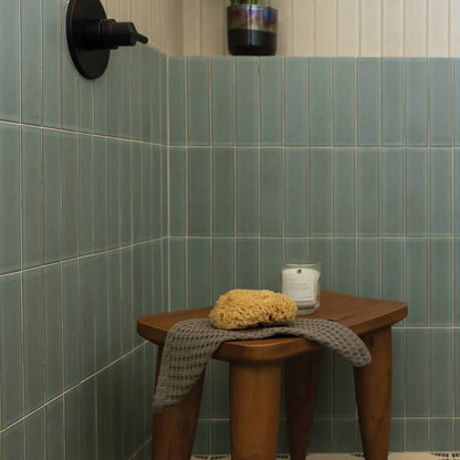 Zenia 2.5&quot; x 9&quot; Matte Floor &amp; Wall Tile in Orion