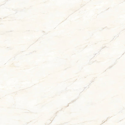 Honed Porcelain Tile in Calacatta Oro