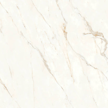 Honed Porcelain Tile in Calacatta Oro