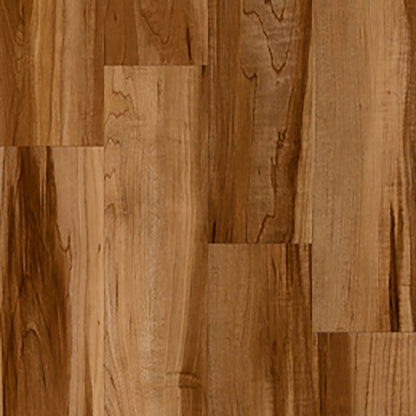 Swatch of Tarkett Rock Maple Medio