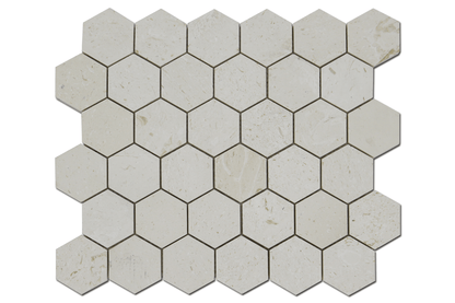Corinthian Fossil Honeycomb Honed